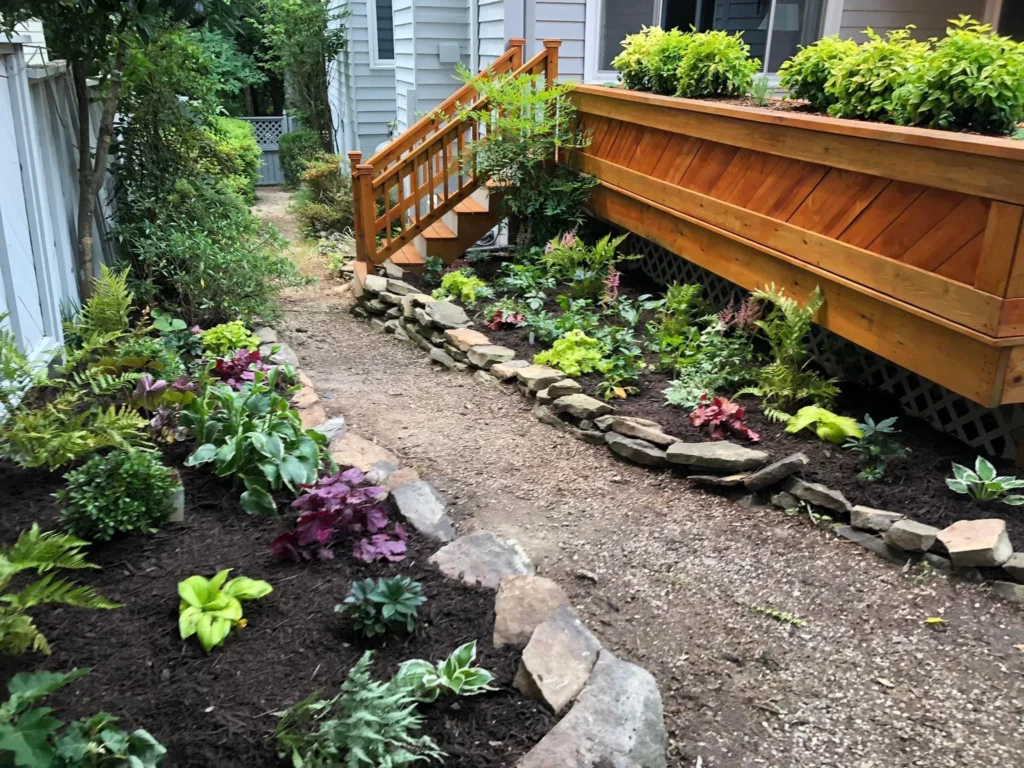 Lush garden pathway with diverse plants, bordered by stone edging and leading to wooden steps, enhancing outdoor space for Altizer Lawn & Landscape.