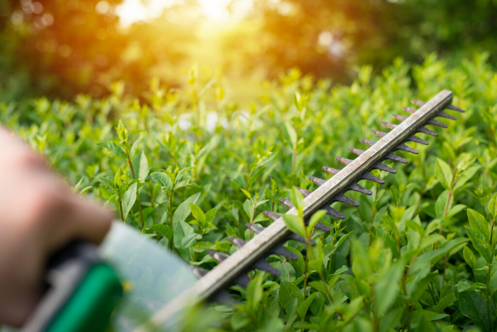 Trimming lush green shrubs with electric hedge trimmer for natural lawn care in Richmond, VA.