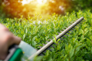 Trimming shrubs and hedges for natural lawn care in Richmond, VA.