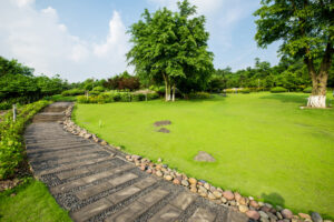 Hardscaping Richmond VA with a landscaped stone walkway and lush green lawn.