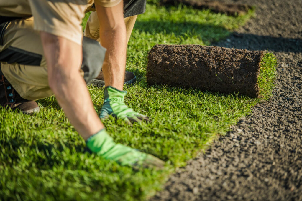 Professional sod installation in Richmond VA, with a landscaper laying a fresh roll of green sod over prepared soil.