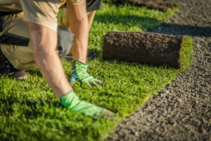 Professional sod installation in Richmond VA, with a landscaper laying a fresh roll of green sod over prepared soil.