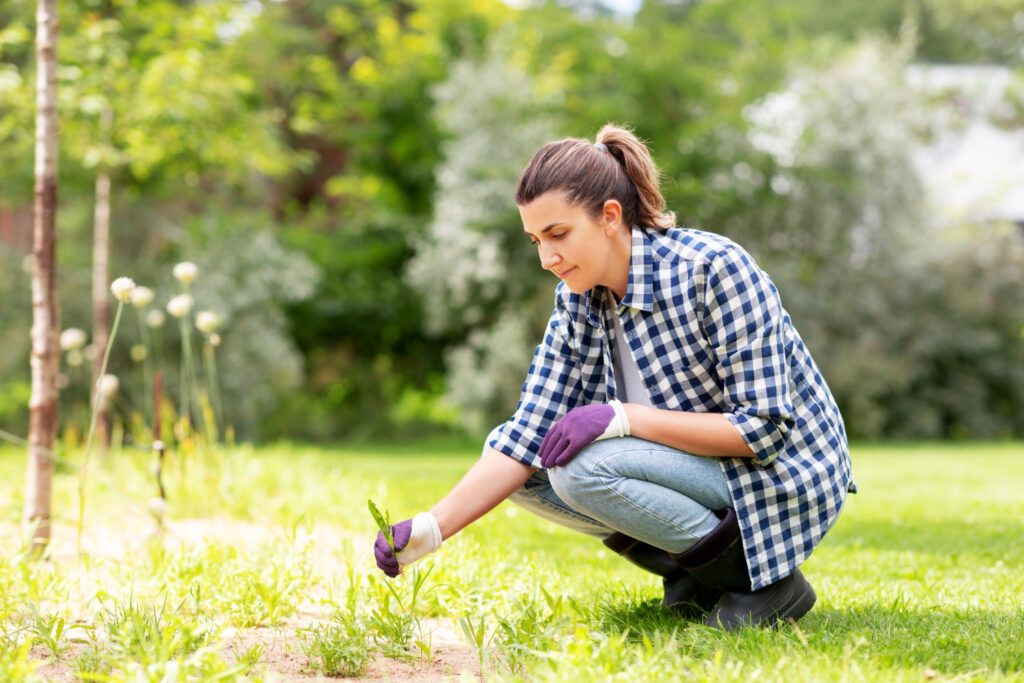 Sod vs seed Richmond VA lawns, with a homeowner planting grass and caring for a healthy lawn in a sunny yard.